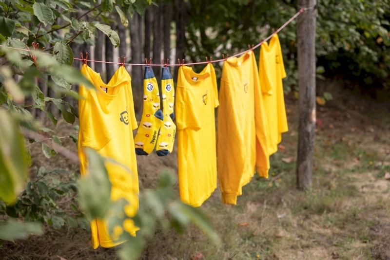 Easy Camp Spirit 300 Tunneltent - 3 Persoons - Groen - Afbeelding 10