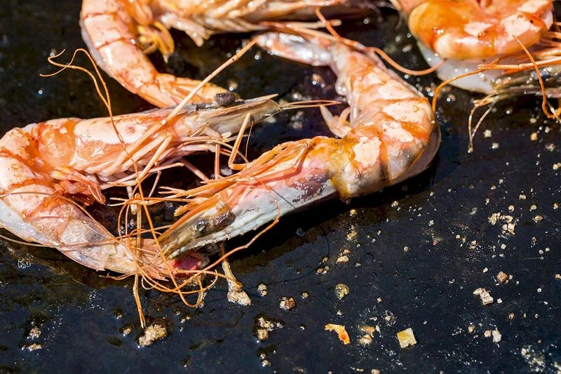 OFYR Kookboek - Afbeelding 5